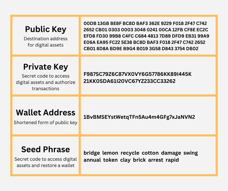 How to Create and Manage Your Own Crypto Wallet